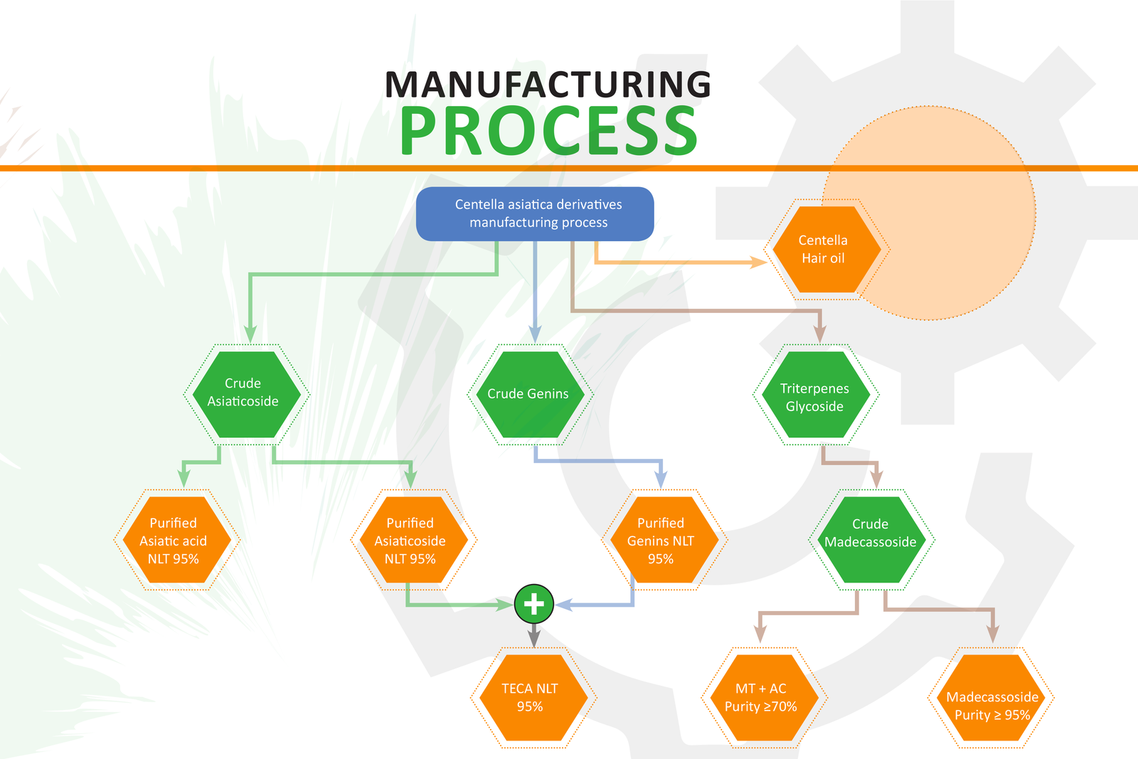 Manufacturing Process